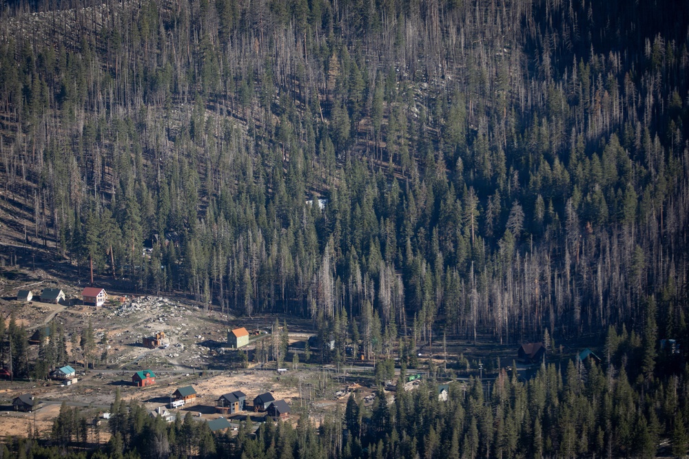 Caldor Fire Reforestation Work Continues Across Eldorado National Forest