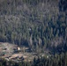 Caldor Fire Reforestation Work Continues Across Eldorado National Forest