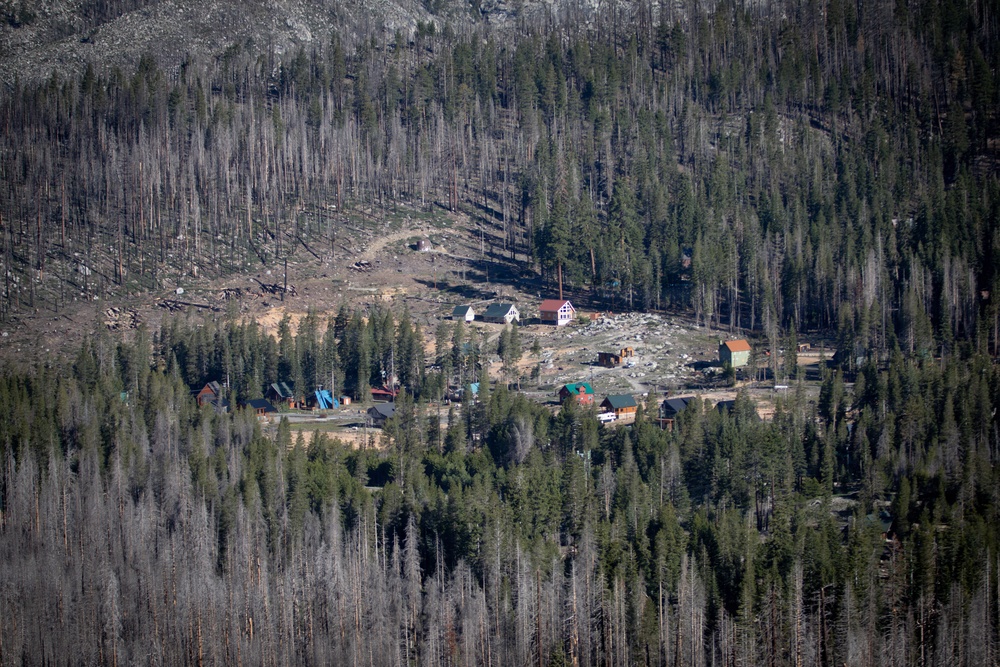 Caldor Fire Reforestation Work Continues Across Eldorado National Forest