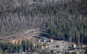 Caldor Fire Reforestation Work Continues Across Eldorado National Forest