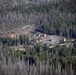 Caldor Fire Reforestation Work Continues Across Eldorado National Forest