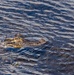 America's Waters- Lake Okeechobee
