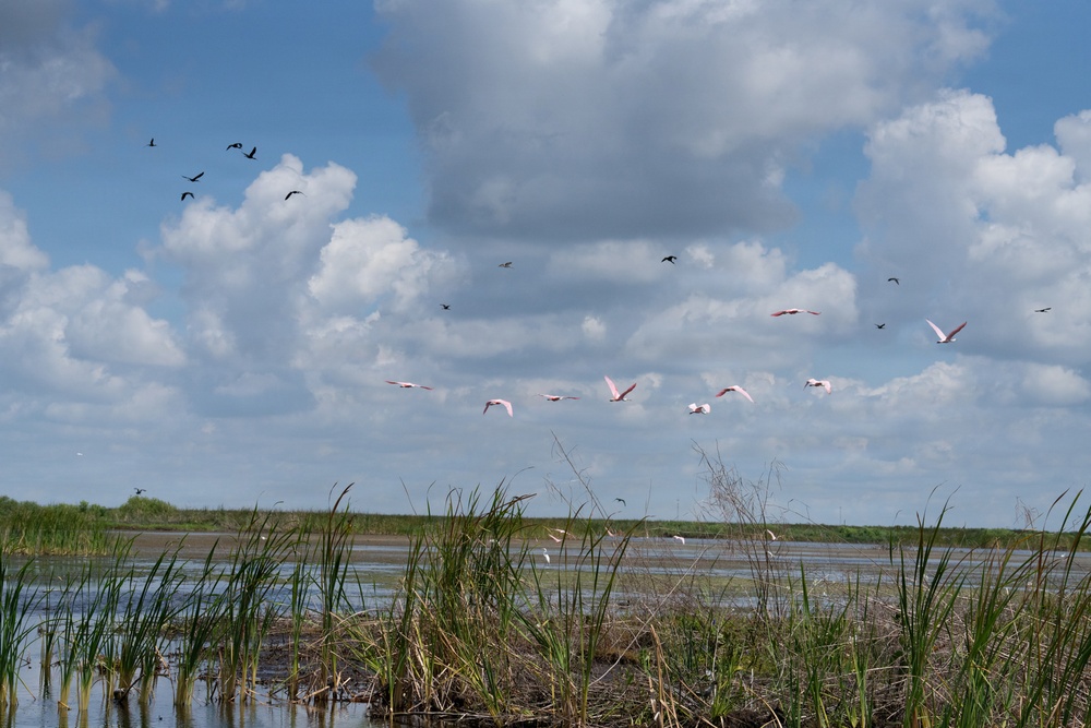 America's Waters- Lake Okeechobee