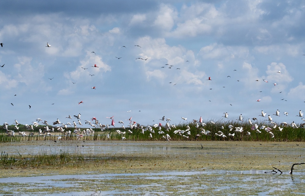 America's Waters- Lake Okeechobee