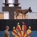 Luke AFB holds Poliece Week 2026 Lethal K9 Competition