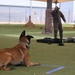 Luke AFB holds Poliece Week 2026 Lethal K9 Competition