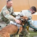 Luke AFB holds Poliece Week 2026 Lethal K9 Competition