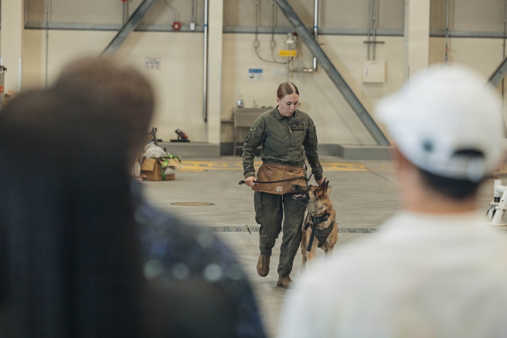Military Working Dog Training