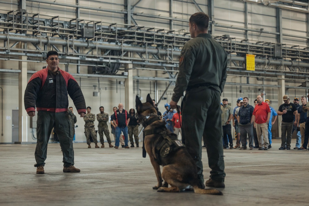 Military Working Dog Training