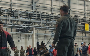 Military Working Dog Training