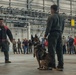 Military Working Dog Training
