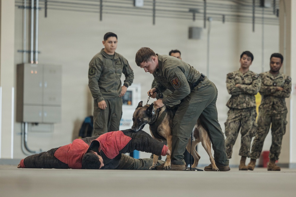 Military Working Dog Training