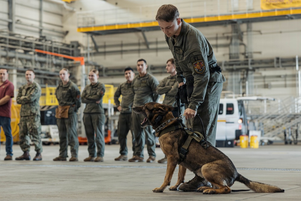Military Working Dog Training