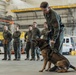 Military Working Dog Training
