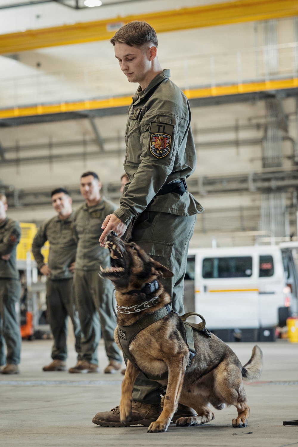 Military Working Dog Training