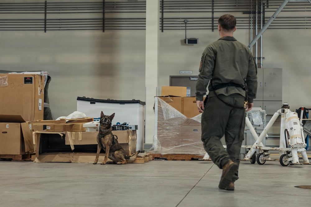 Military Working Dog Training