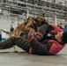 Military Working Dog Training
