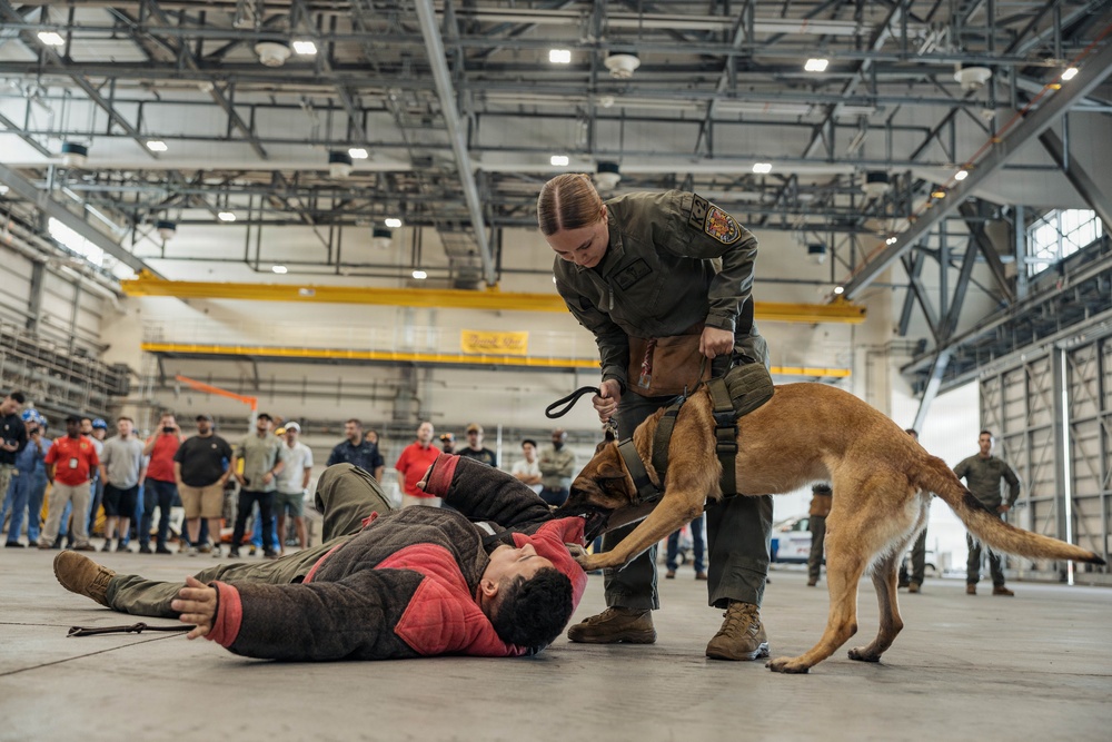 Military Working Dog Training