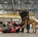 Military Working Dog Training