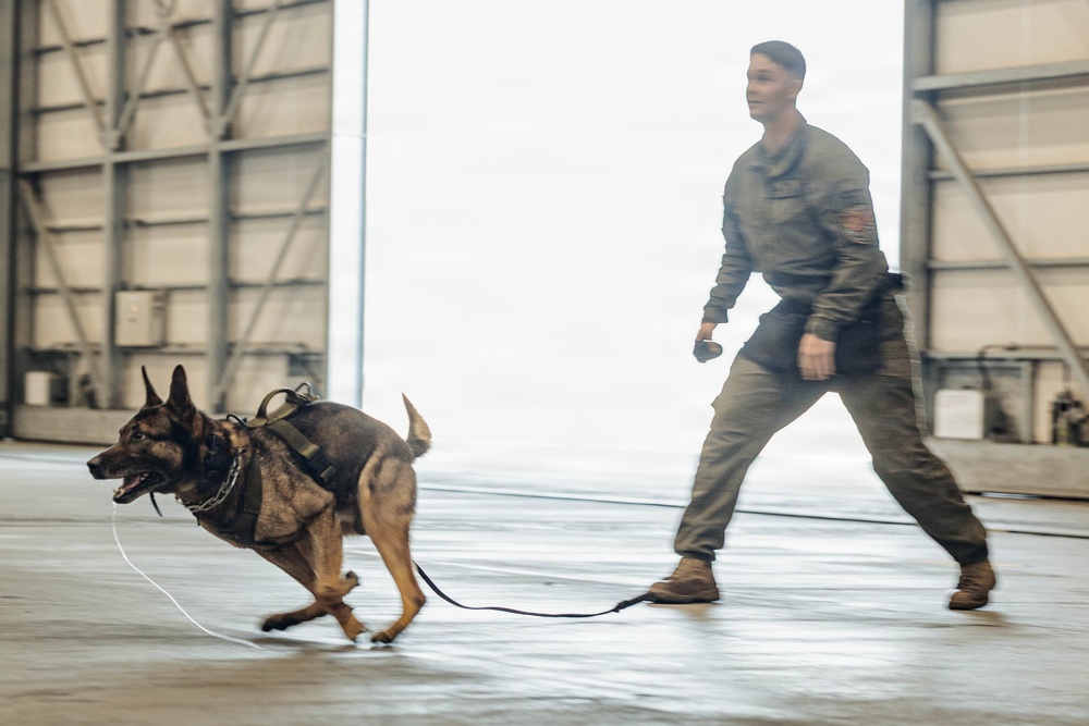Military Working Dog Training