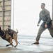 Military Working Dog Training