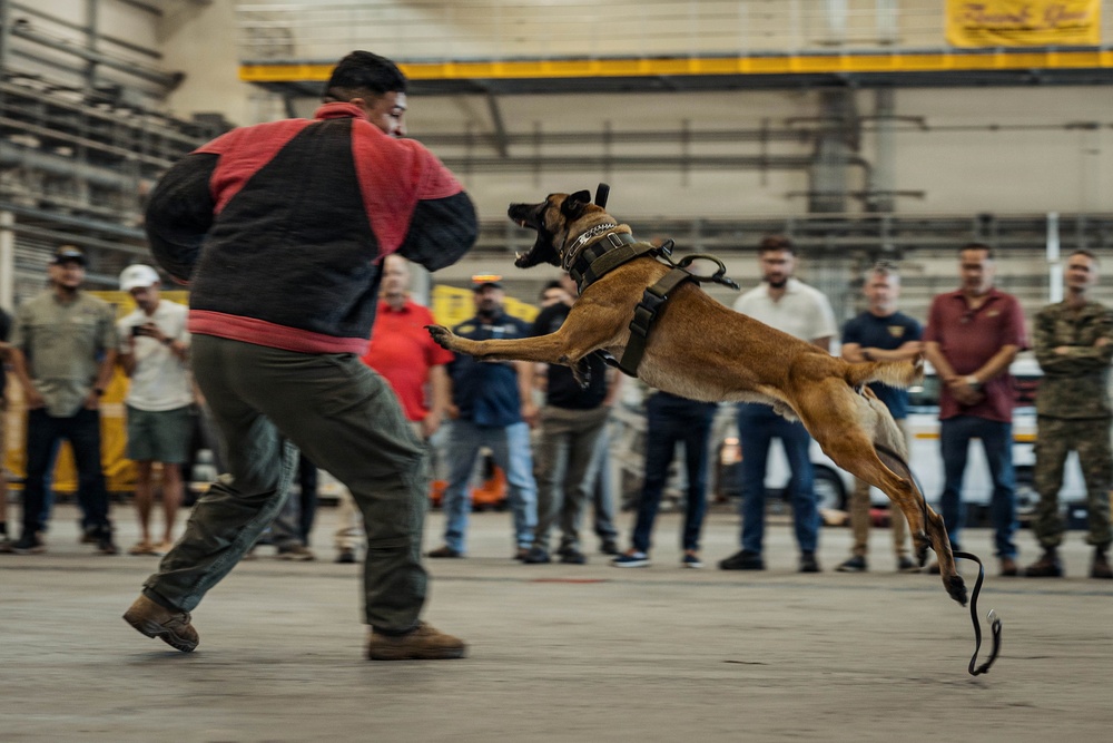 Military Working Dog Training