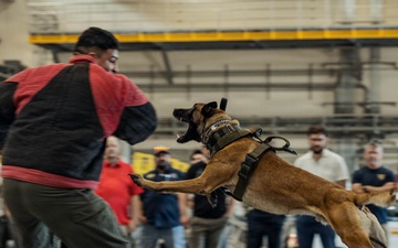 Military Working Dog Training