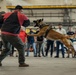 Military Working Dog Training