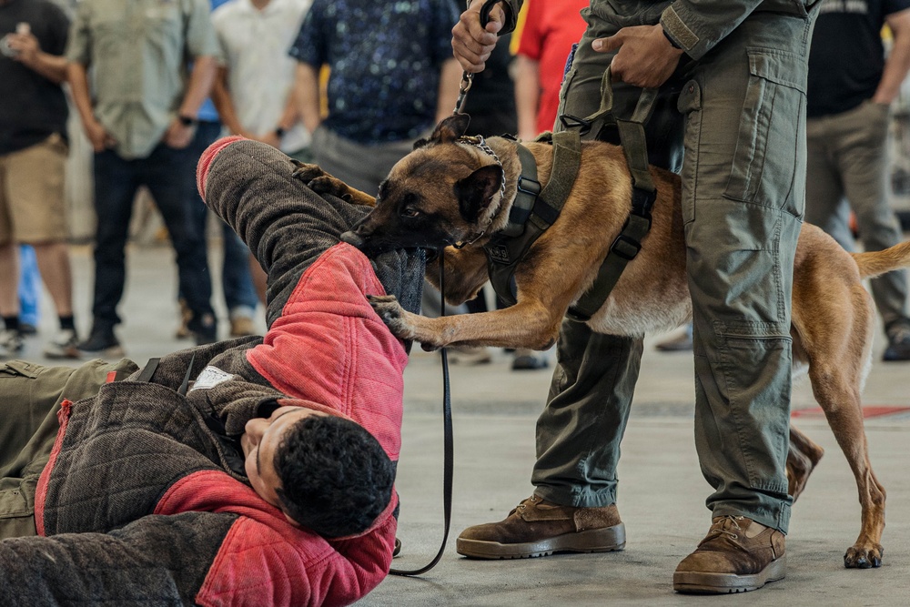 Military Working Dog Training