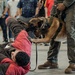 Military Working Dog Training