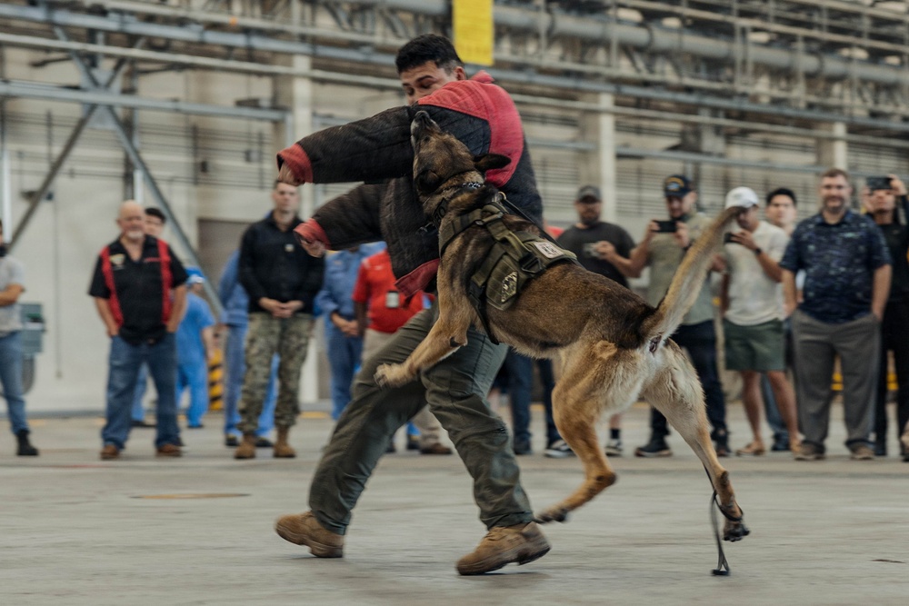 Military Working Dog Training