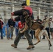 Military Working Dog Training