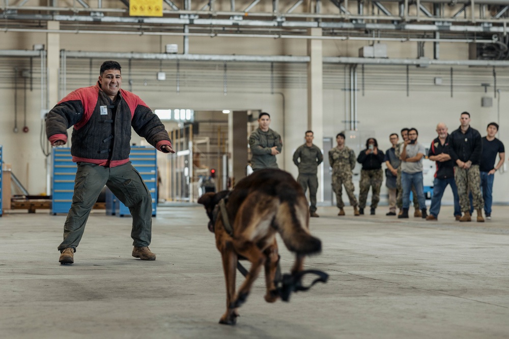 Military Working Dog Training