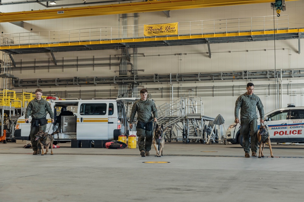 Military Working Dog Training