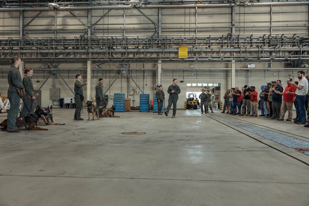 Military Working Dog Training