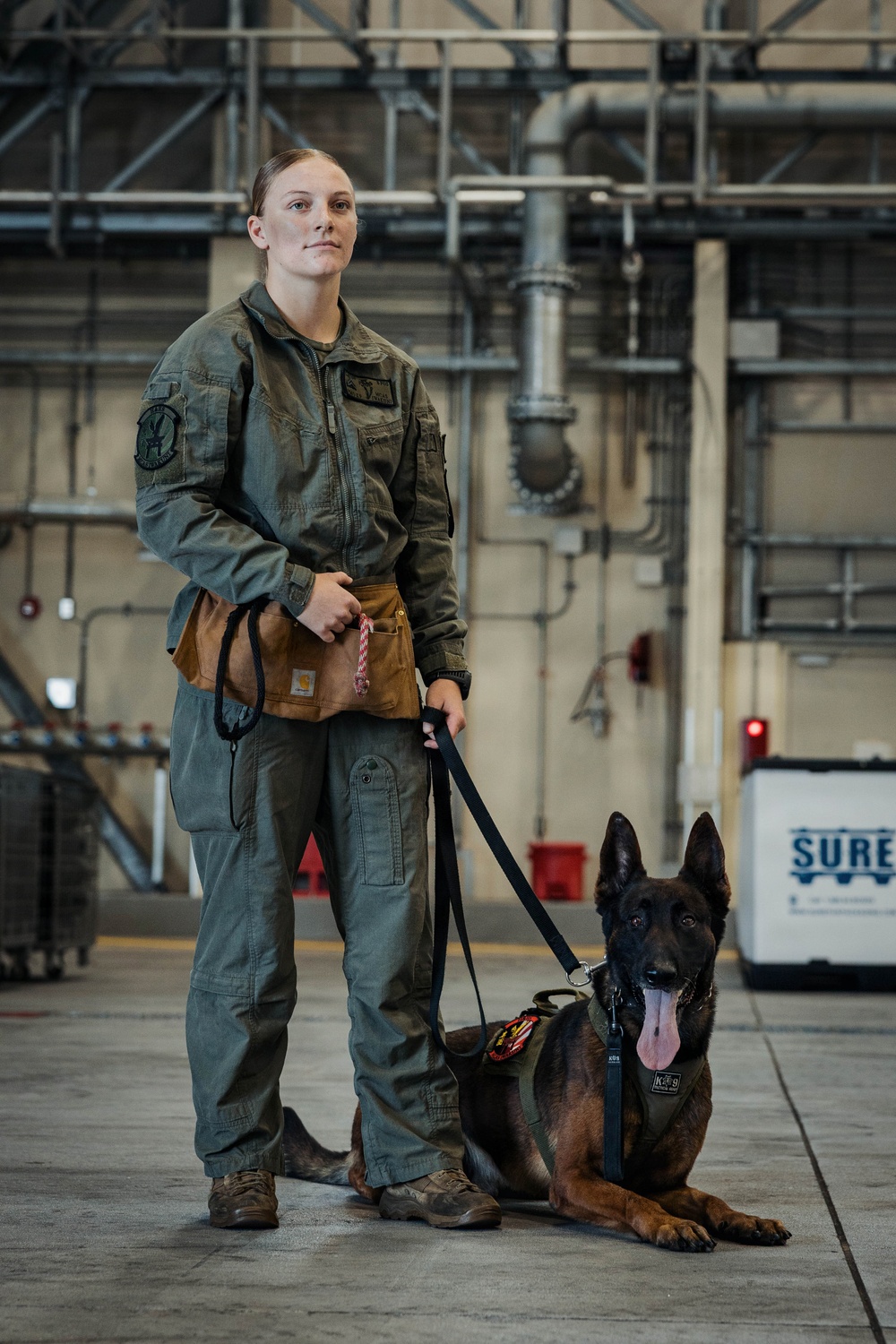 Military Working Dog Training
