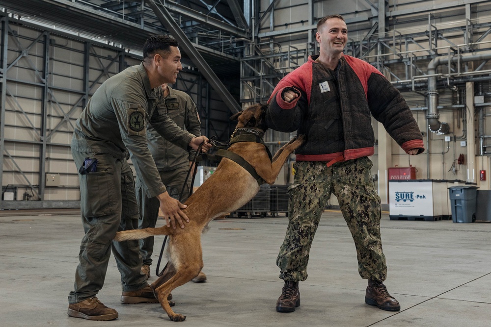 Military Working Dog Training