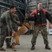 Military Working Dog Training