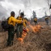 Alaska Air National Guard, Air Force, and State of Alaska Division of Forestry and Fire Protection firefighters team up during controlled burns