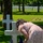 France Pilgrimage 2026 France Pilgrimage 2026
