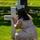 France Pilgrimage 2026 France Pilgrimage 2026