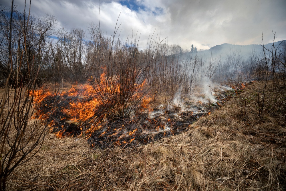 Alaska Air National Guard, Air Force, and State of Alaska Division of Forestry and Fire Protection firefighters team up during controlled burns