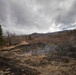 Alaska Air National Guard, Air Force, and State of Alaska Division of Forestry and Fire Protection firefighters team up during controlled burns