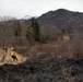 Alaska Air National Guard, Air Force, and State of Alaska Division of Forestry and Fire Protection firefighters team up during controlled burns