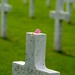 2026 France Tomb Guard Pilgrimage