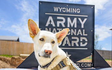 Wyoming National Guard engineers collaborate with Habitat for Humanity construction project in Cheyenne