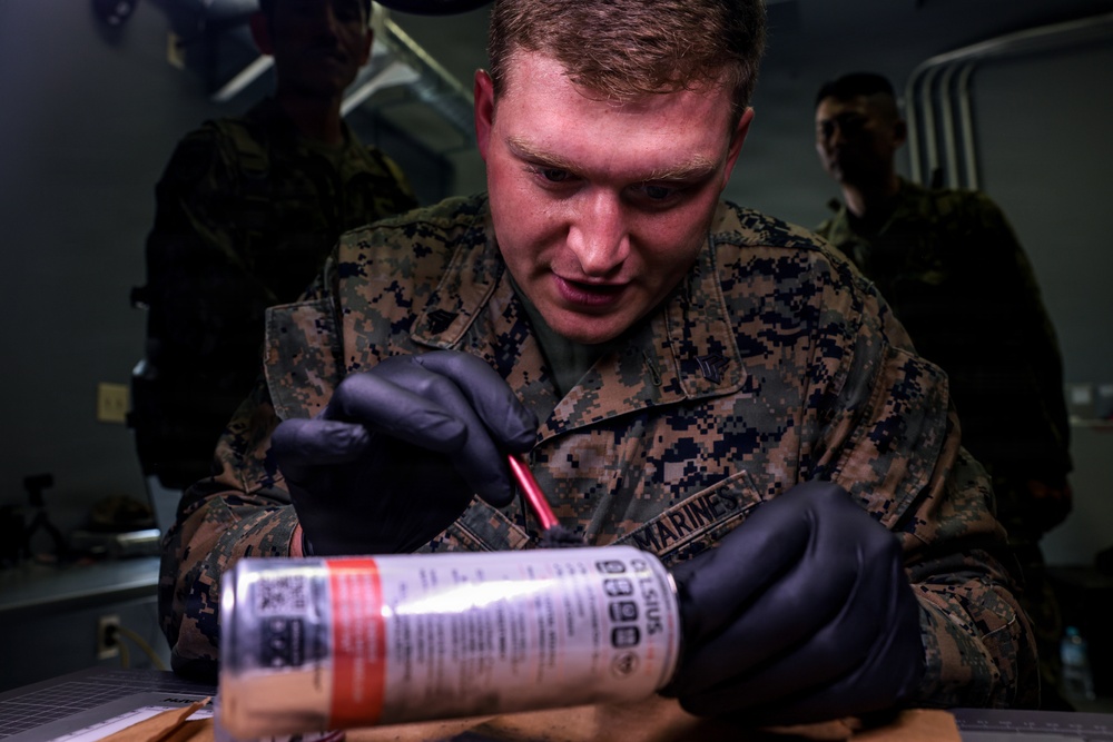 Kaiju Rain 26: 3d Intelligence Battalion Marines conduct criminal investigation training
