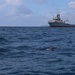 A MK 18 Mod 1 Unmanned Underwater Vehicle operates alongside ESPS Cartagena during ESP MINEX-26