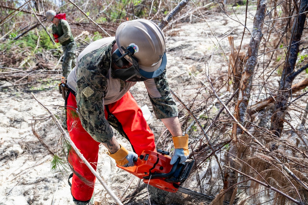 NMCB 1 Sailors clear an area with chainsaws and a backhoe