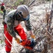 NMCB 1 Sailors clear an area with chainsaws and a backhoe